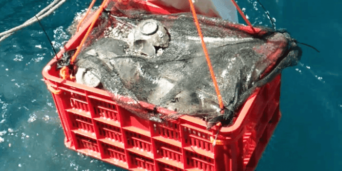 Screenshot_2019_1020_223302